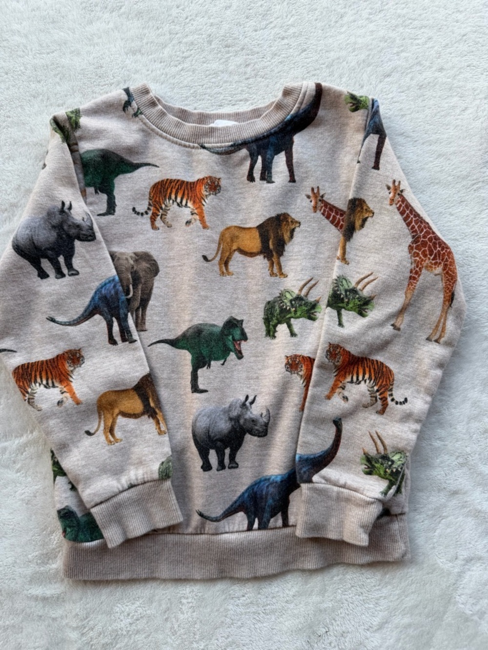 H&M Beige Kids Sweatshirt with Multicolor Safari Animal Prints Size 5T/6